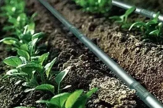 水肥一體化三種技術(shù)模式，實(shí)現(xiàn)節(jié)水節(jié)肥